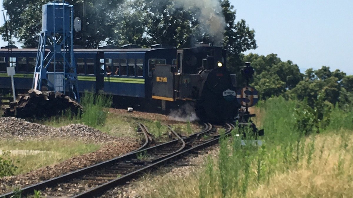 🎡 아이치 어린이 나라 (아이치 코도모노쿠니)